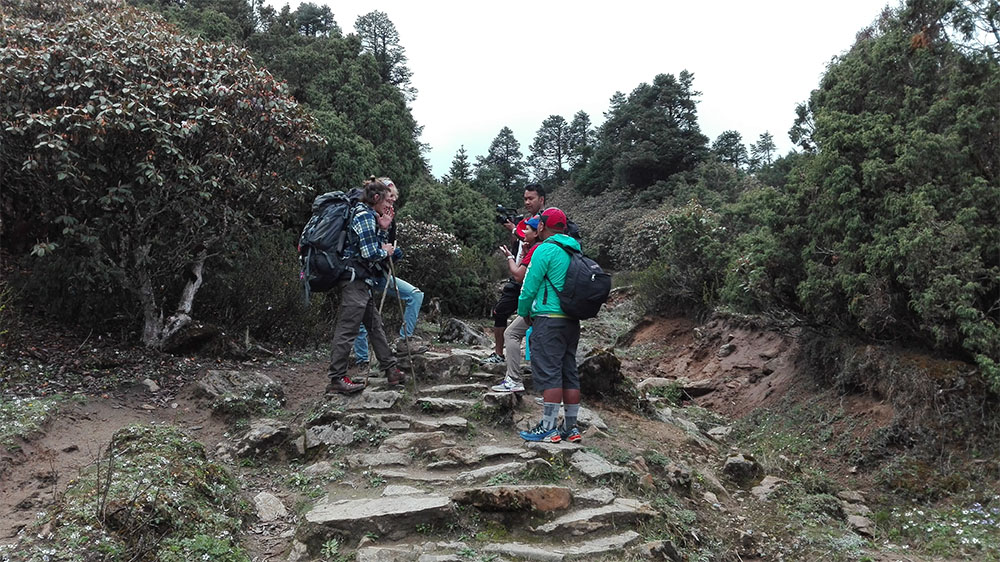 trekking in nepal