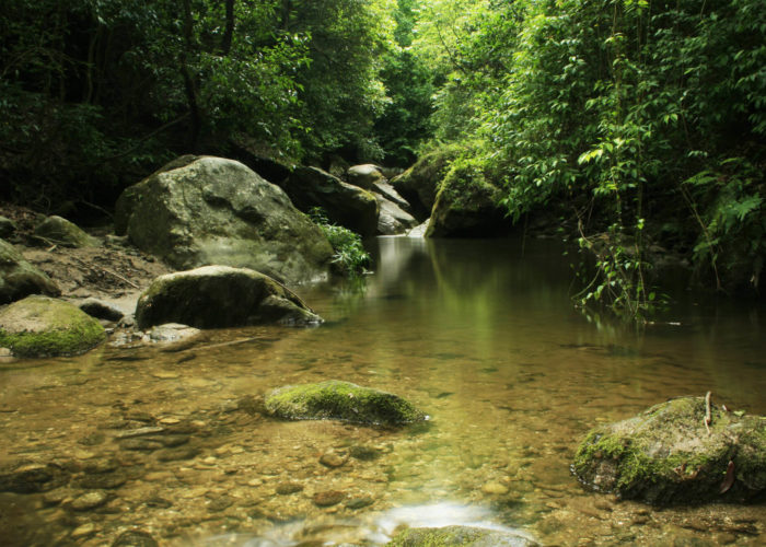Canyoning In Sundarijal