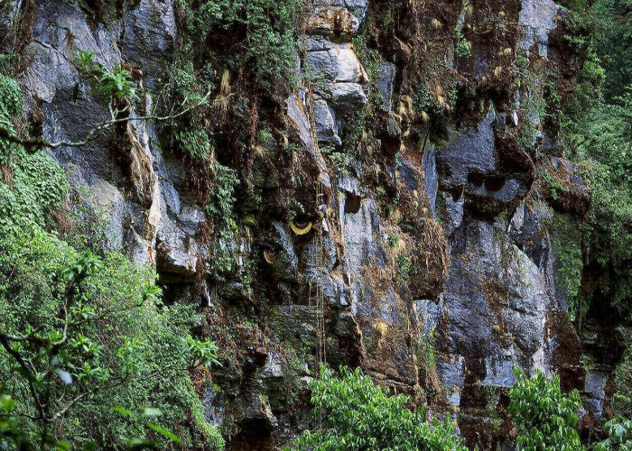 Honey hunting tour in nepal