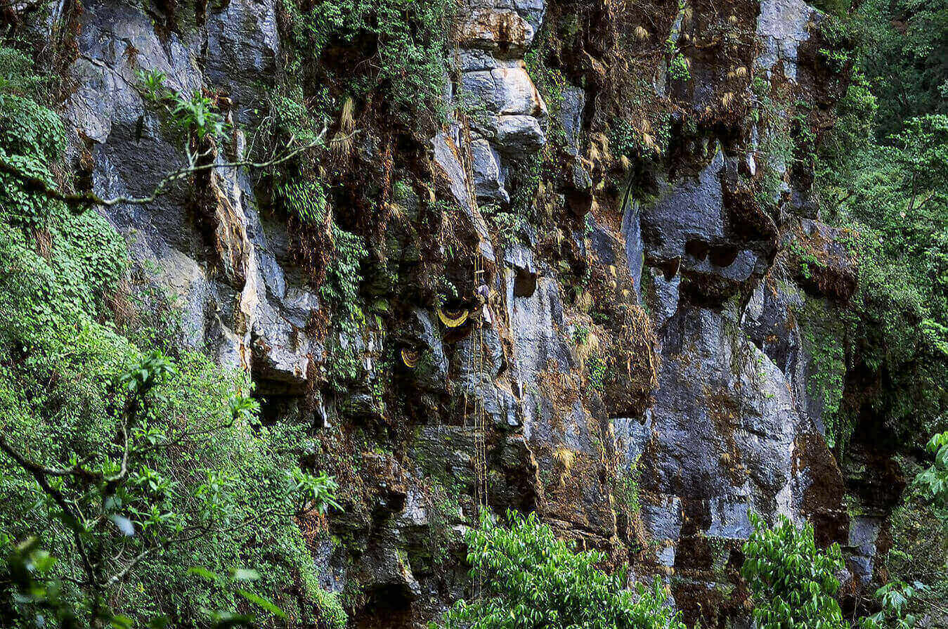 Honey hunting tour in nepal