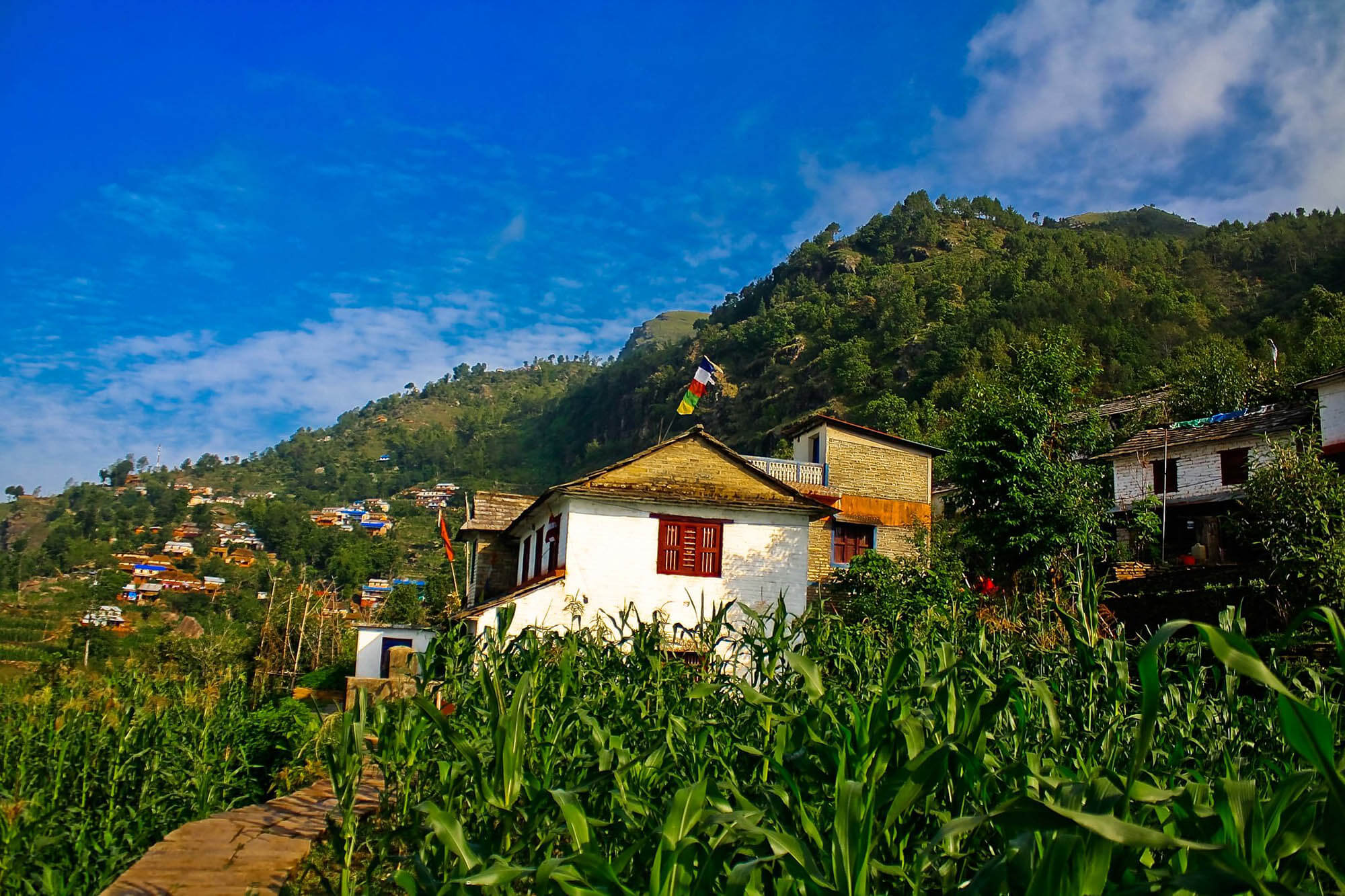 Sirubari Village Homestay