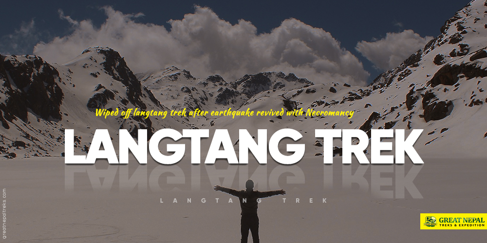 langtang trek after earthquake