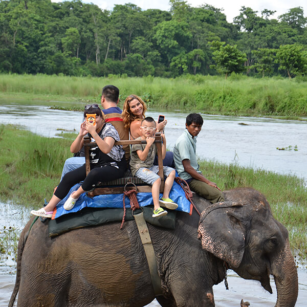 Jungle Safari