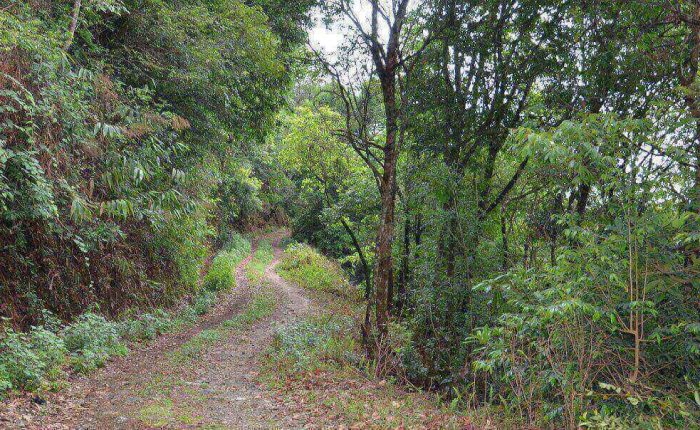 Shivapuri national park trail