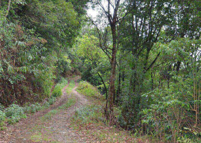 Shivapuri national park trail
