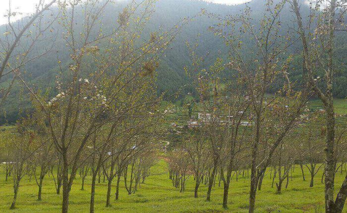 Chitlang hiking