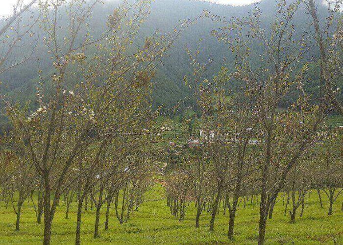 Chitlang hiking