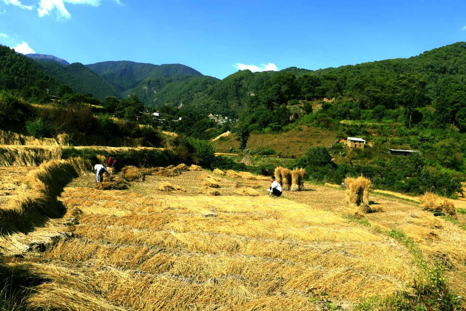 village tour in Nepal,